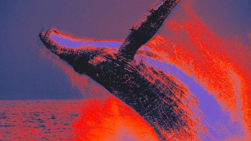 Bitcoin whale moves over $20 million worth of BTC to Binance