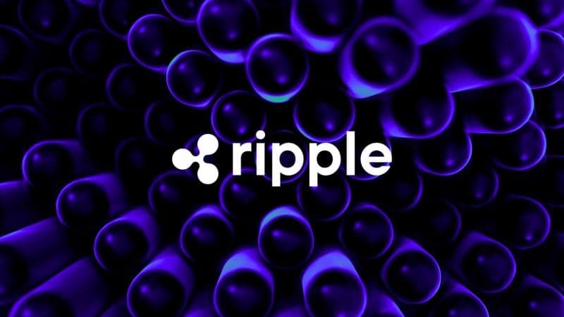 Kroll gives Ripple Prime ‘medium quality’ rating citing strong backing, concentration risks