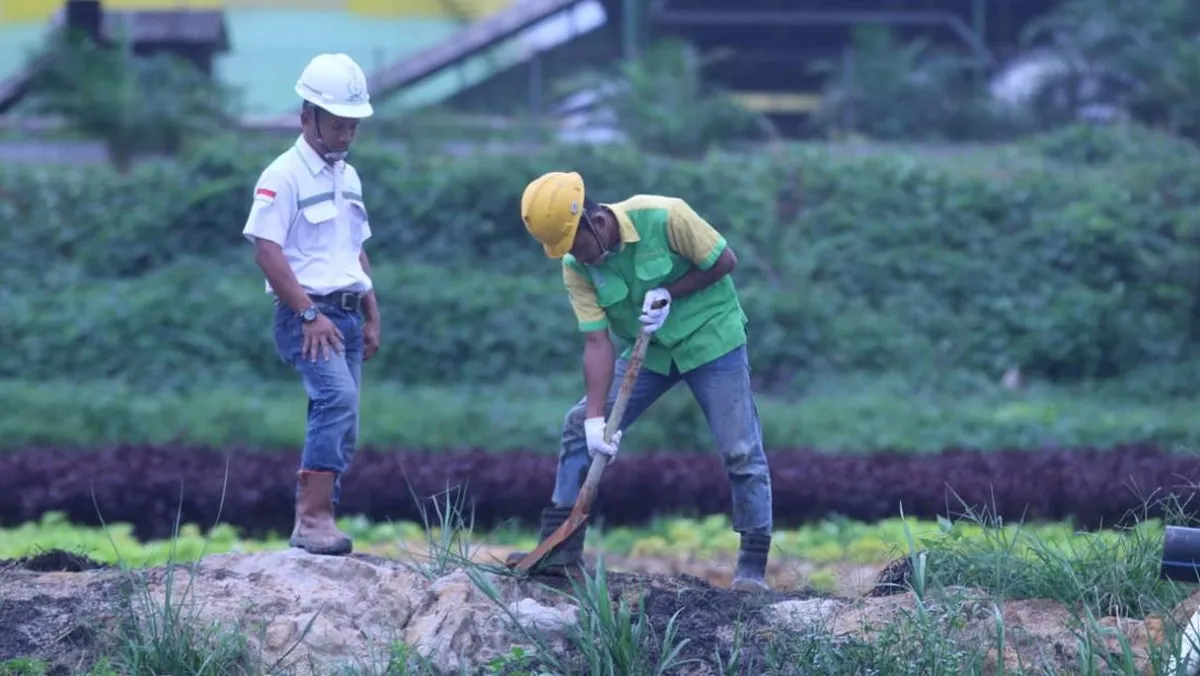 Menthobi Karyatama Raya sebut operasi sawit di Kalteng normal di tengah karhutla