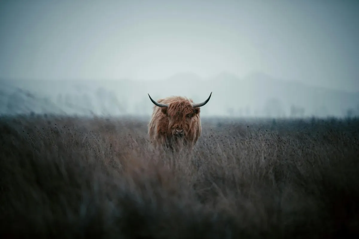 Bitcoin's 44% third-quarter surge signals potential crypto bull run