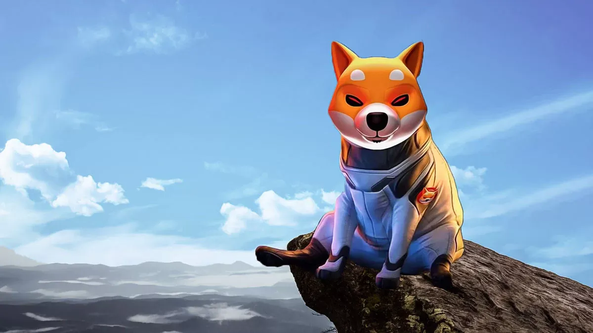 Shiba Inu: Zincir Üstü Verilerle Dikkat Çekiyor