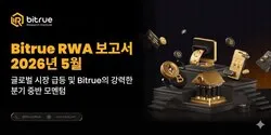 비트루 리서치(Bitrue Research Institute), RWA 거래 활동 전 분기 대비 114% 증가 분석