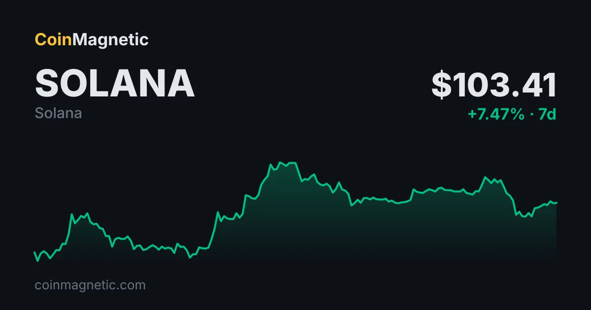 Solana (SOL) balinası bir yıl sonra 31.862 token satıp 2,2 milyon dolar kaybetti