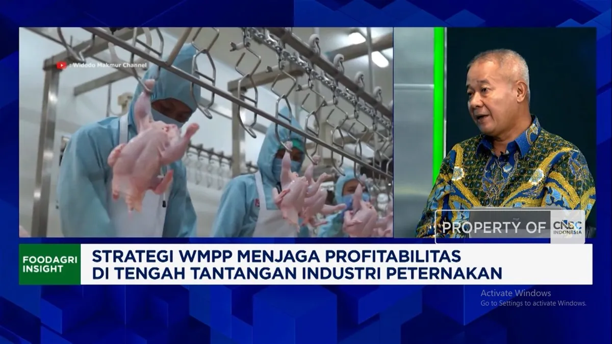 Video: Genjot Pendapatan, Bisnis Peternakan Tambah Utilisasi Pabrik