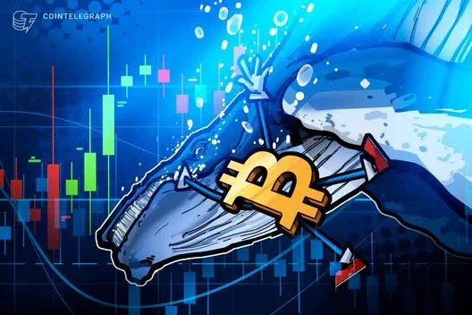 Bitcoin whale 'still short' BTC despite facing $13M in losses