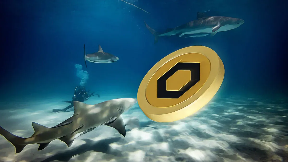 Chainlink LINK, 9,40 dolarda direnç bölgesini test ediyor