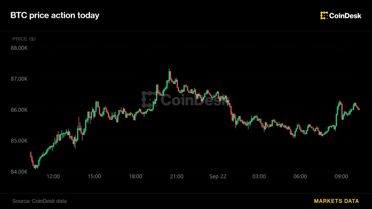 Bitcoin bounces back to $86,000 as oil prices decline and stocks rise
