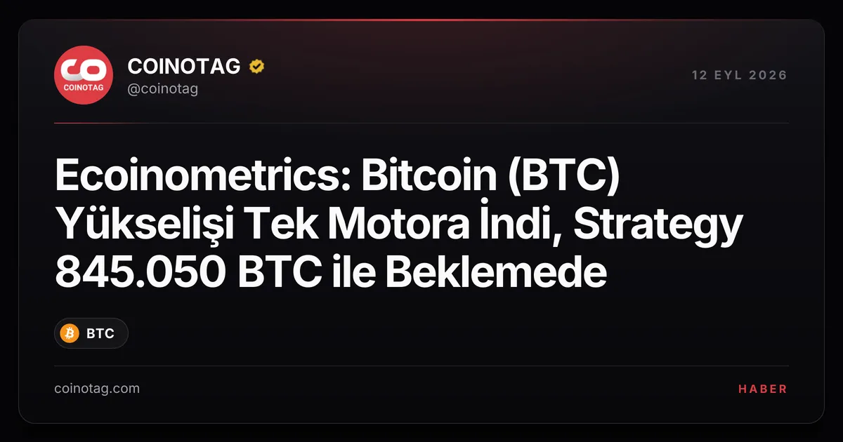 Ecoinometrics, Bitcoin'in yükselişinin ETF talebine bağlı olduğunu vurguladı