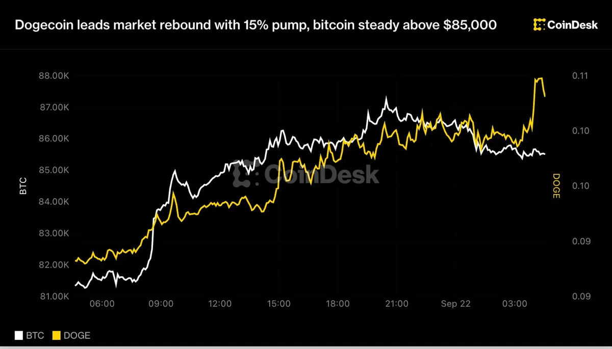 Dogecoin's 15% surge drives market recovery as bitcoin stabilizes above $85,000