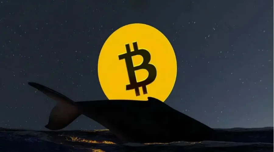 Спавший восемь лет адрес избавился от биткоинов на $382 млн