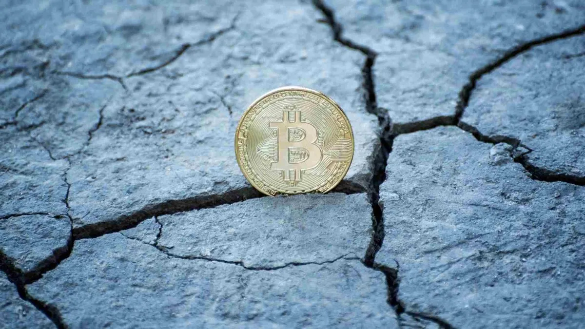 Brasileiros acompanham chegada de novo fork, mas bilionário Michael Saylor diz que “Bitcoin tem 110 problemas antes de se preocupar com spam”