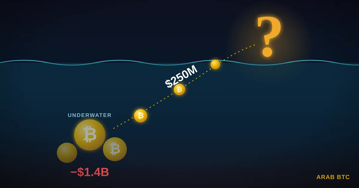 تحويل 250 مليون دولار من البيتكوين لشركة Metaplanet وسط خسائر تفوق 1.4 مليار دولار
