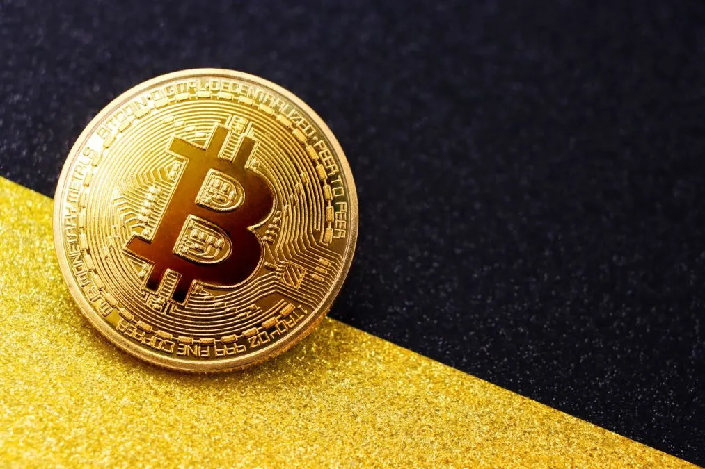 Cobra acredita que BIP-110 resultará em outra criptomoeda “maior que BSV, mas menor que BCH”