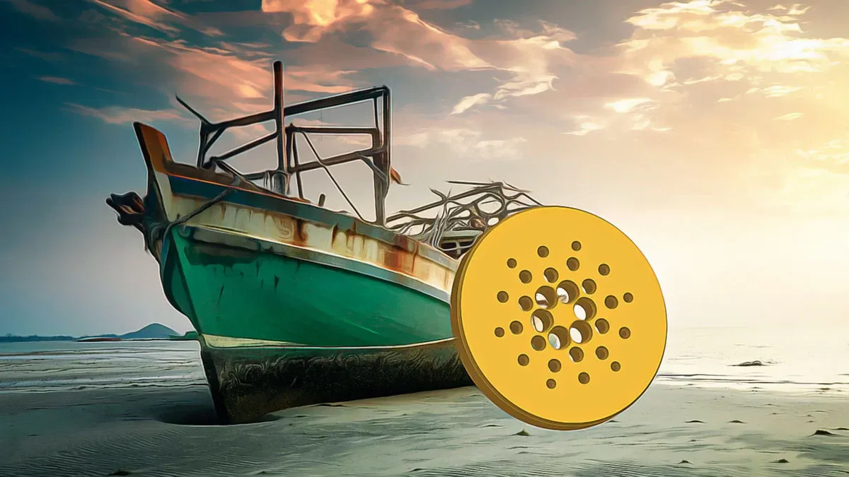 Tim Draper, Cardano girişimleri için 10 haftalık Apex Growth Accelerator'ı destekliyor