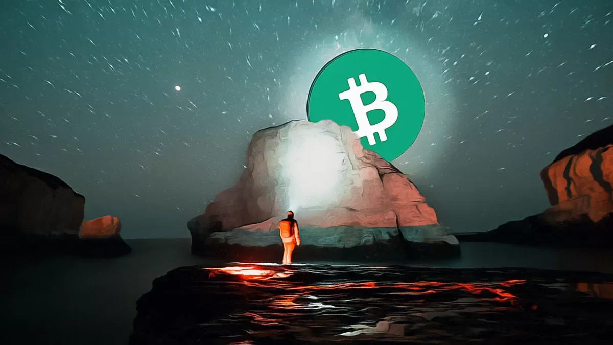 Bitcoin 65 bin dolarda dengelenirken kurumsal ilgi artıyor