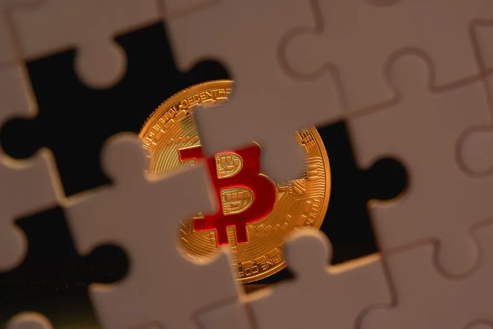 Cobra defende que mudanças no protocolo do Bitcoin não são mais necessárias
