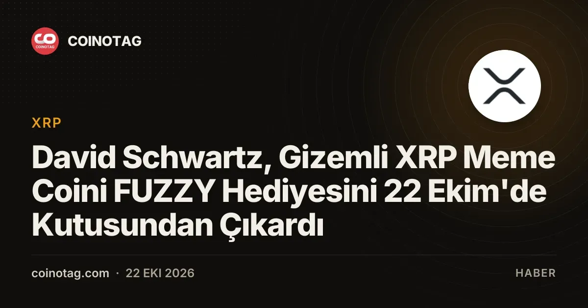 David Schwartz, Gizemli XRP Meme Coini FUZZY Hediyesini 22 Ekim'de Kutusundan Çıkardı