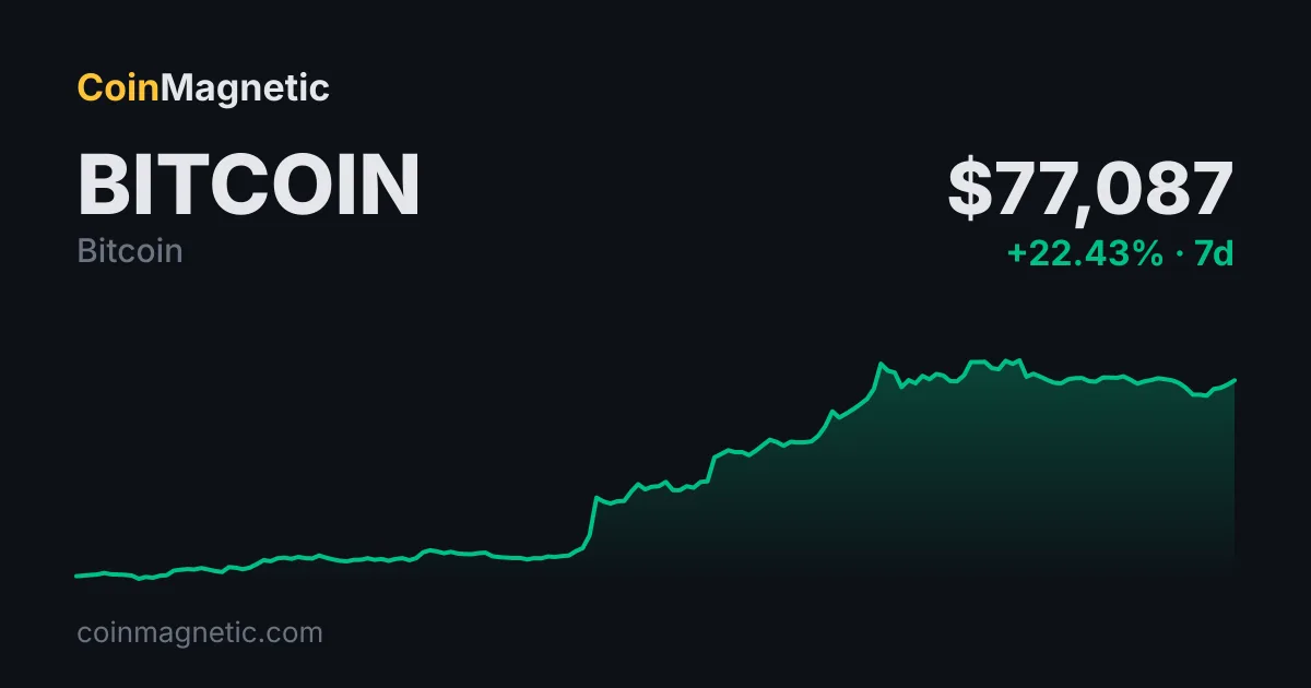 Zondacrypto: 4.500 Bitcoin Kilitli, İkinci CEO da Kayboldu