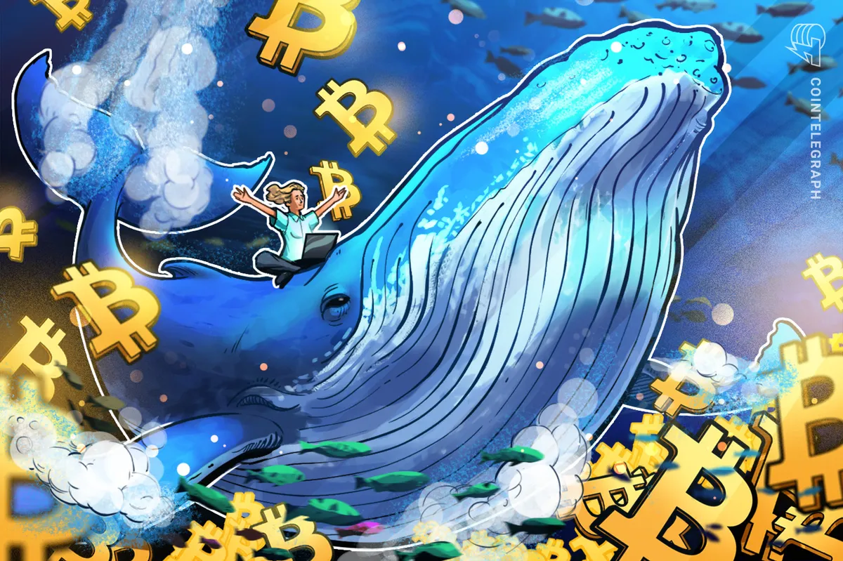 Saldo de baleias de Bitcoin atingem máxima de cinco meses: BTC está a caminho dos US$ 80 mil?