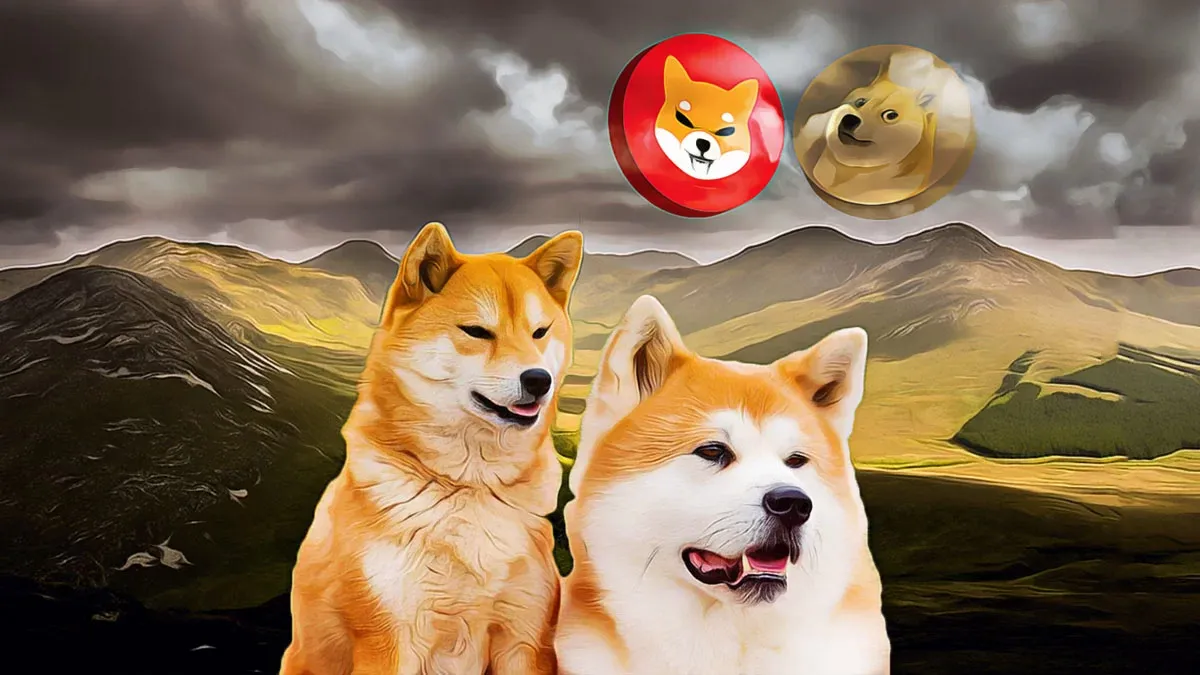 Shiba Inu Ekosisteminde Kritik Arz Durumu