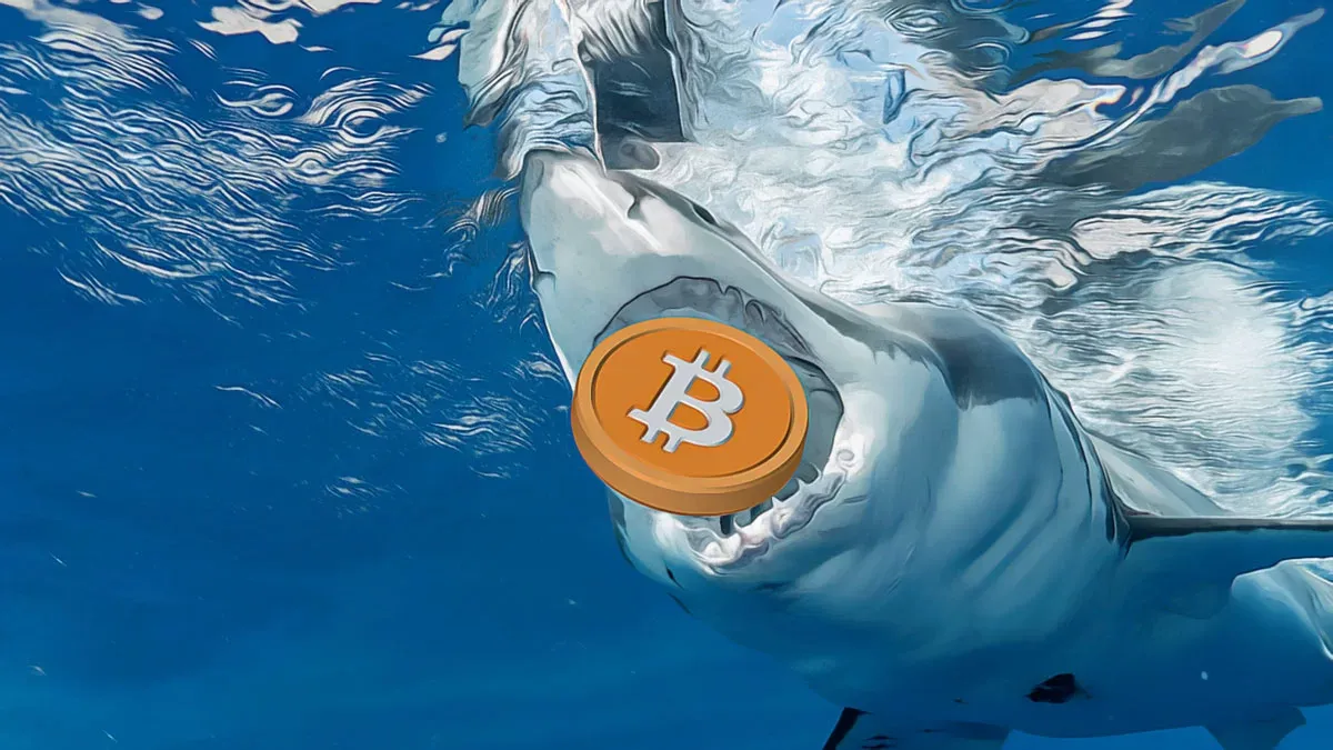 Piyasa Hareketleniyor: Bitcoin ve Açık Pozisyon Artışı