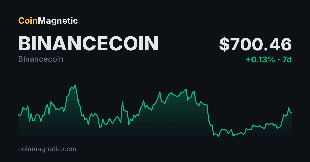 BNB Chain meme coin'leri 24 saatte 2,2 milyon dolar hacim yaptı