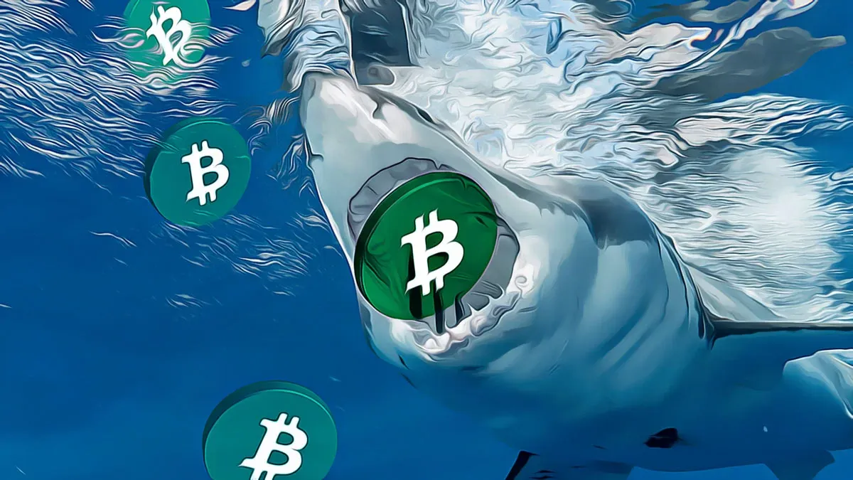 Kripto Varlıkları Quantum Saldırılarından Koruyacak Yeni Protokol