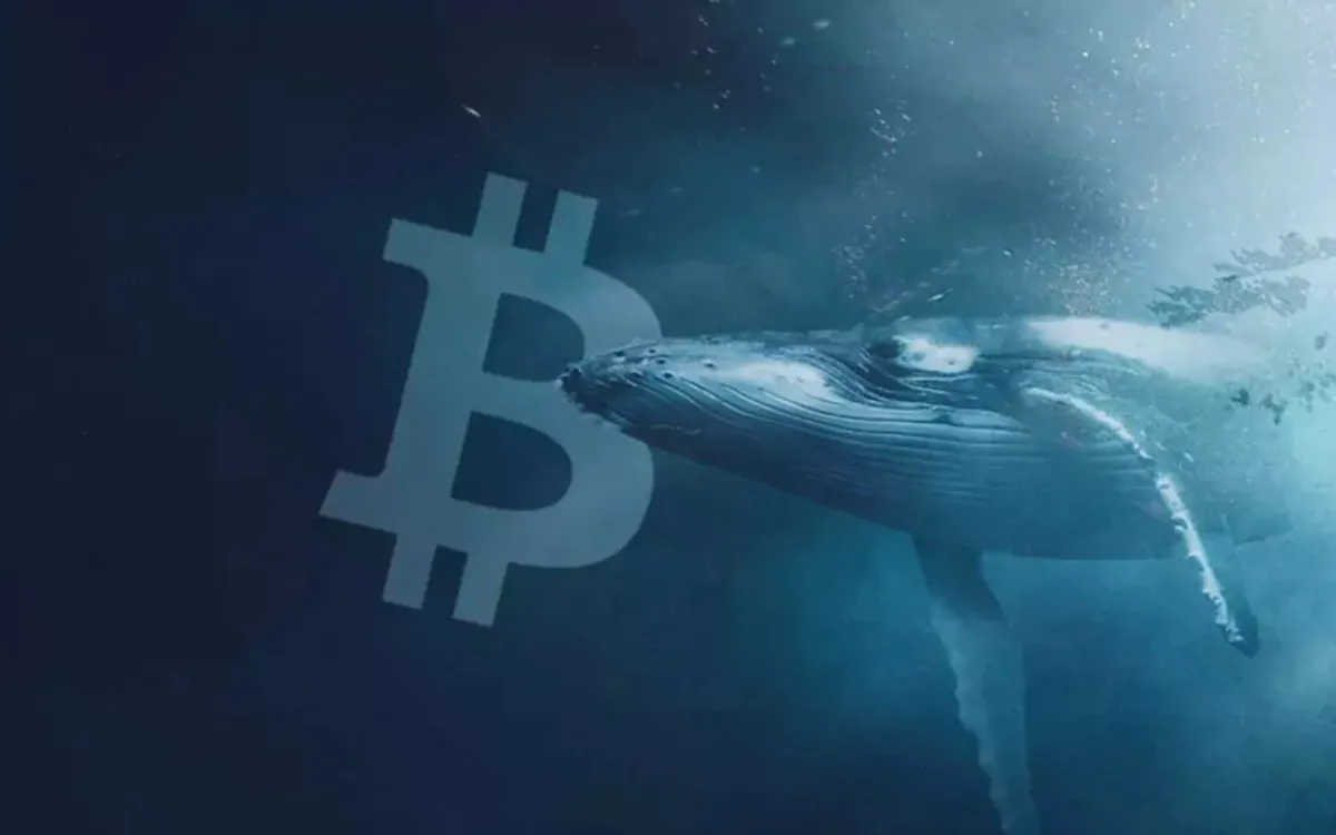 10 yıldır hareketsiz Bitcoin'ler bu yıl artan transferlerle hareketleniyor