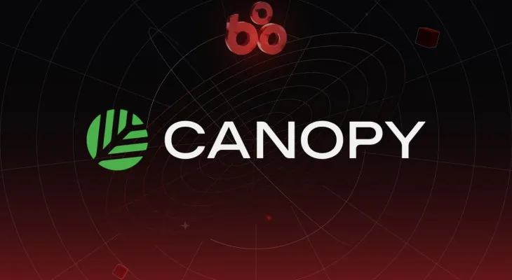 Canopy Network là gì? Tìm hiểu về công cụ giúp xây dựng blockchain nhanh chóng