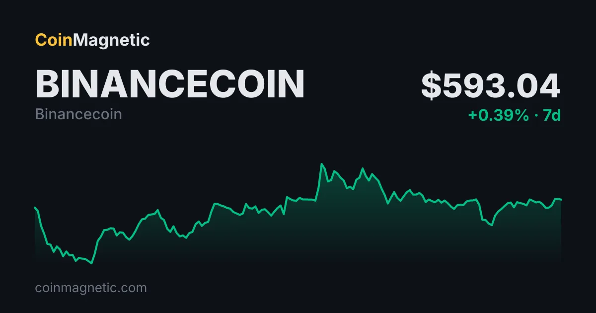 BNB Destekli Binance bStocks, 15 Günde 100 Milyon Doları Aştı
