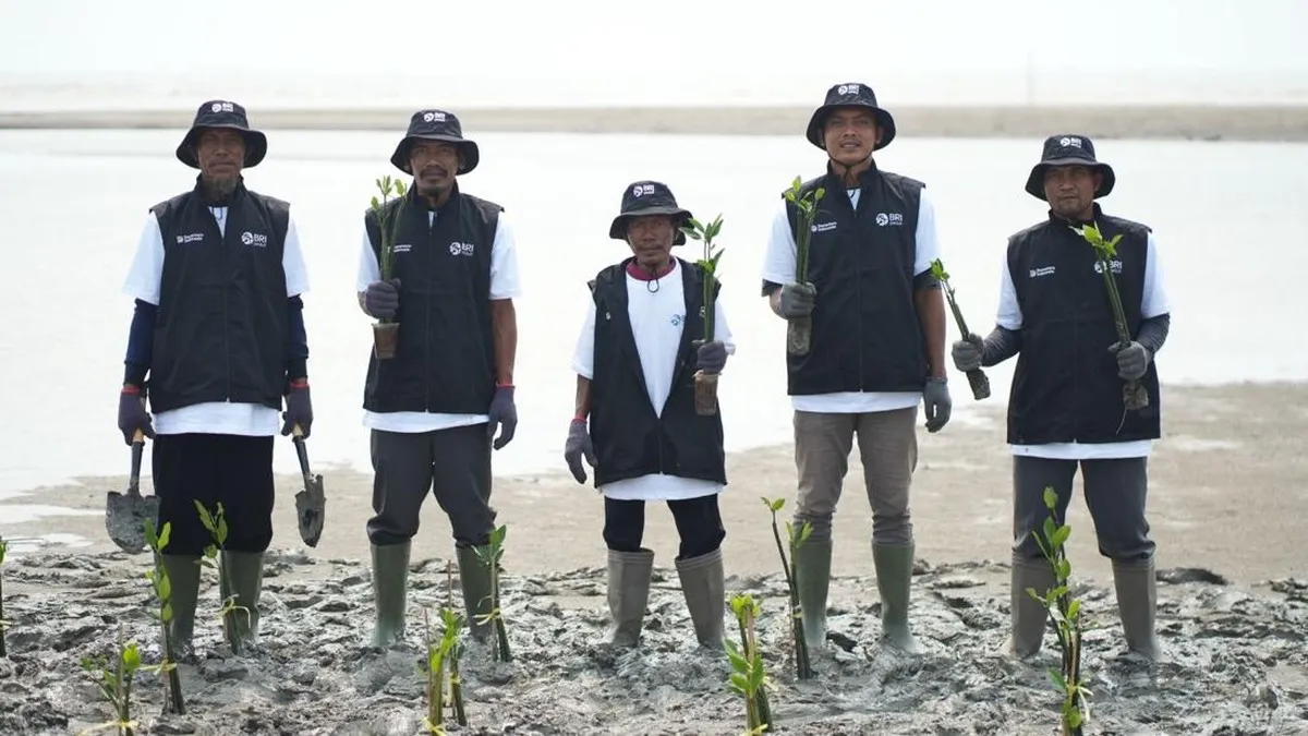 Libatkan Kelompok Tani dan Nelayan, BRI Peduli Tanam 24.000 Mangrove