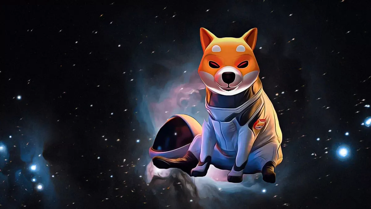 Shiba Inu ağı, günlük yakım faaliyetlerinde artış gösteriyor