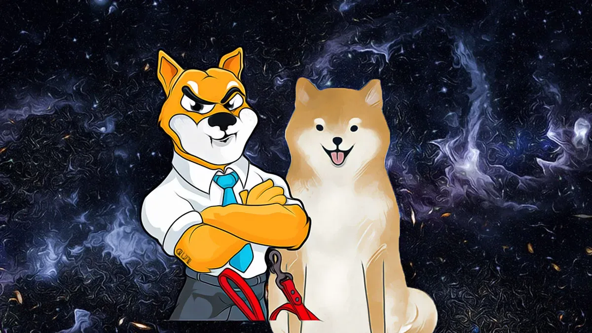 Shiba Inu Cüzdan Sayısında Büyük Artış