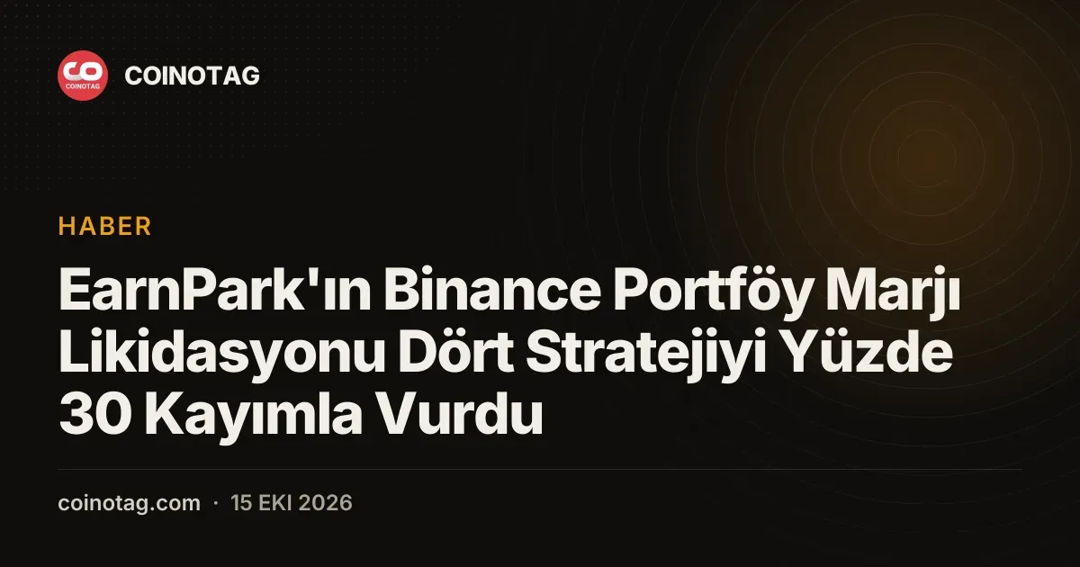 EarnPark'ın Binance Portföy Marjı Likidasyonu Dört Stratejiyi Yüzde 30 Kayımla Vurdu