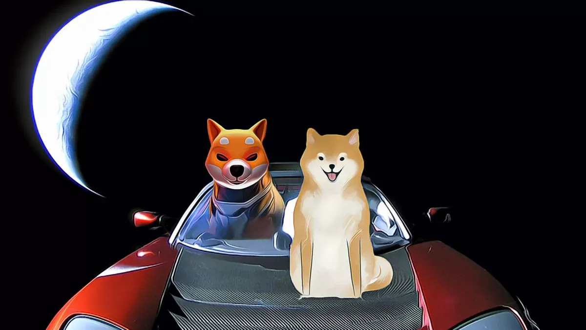 Shiba Inu'da yeniden yükseliş, yatırımcı ilgisini artırıyor