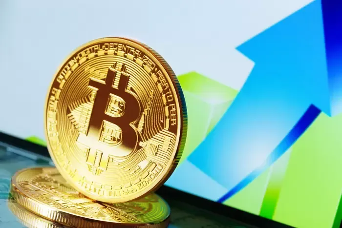 2020년 패턴 재현된다면…비트코인 다음 시나리오는?