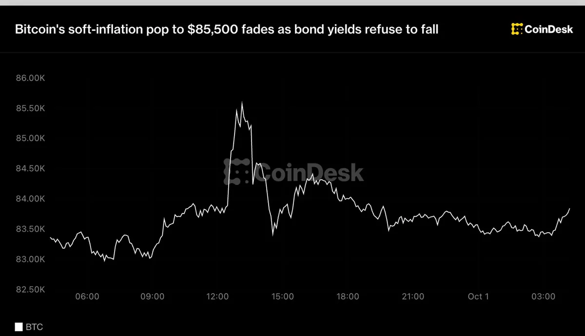 Bitcoin touches $85,500 briefly before yields keep gains in check