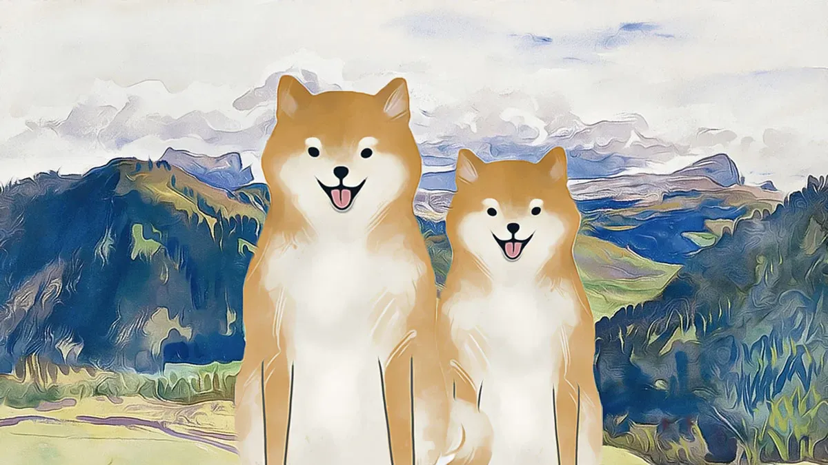 Dogecoin ve Shiba Inu: 2026’da Meme Coin Düellosu