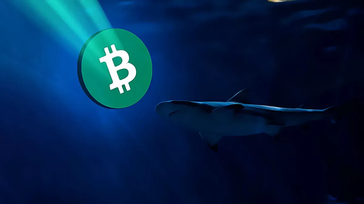Bitcoin 67 Bin Dolara Yaklaştı: Piyasalar ve Opsiyon Piyasası Üzerindeki Etkileri