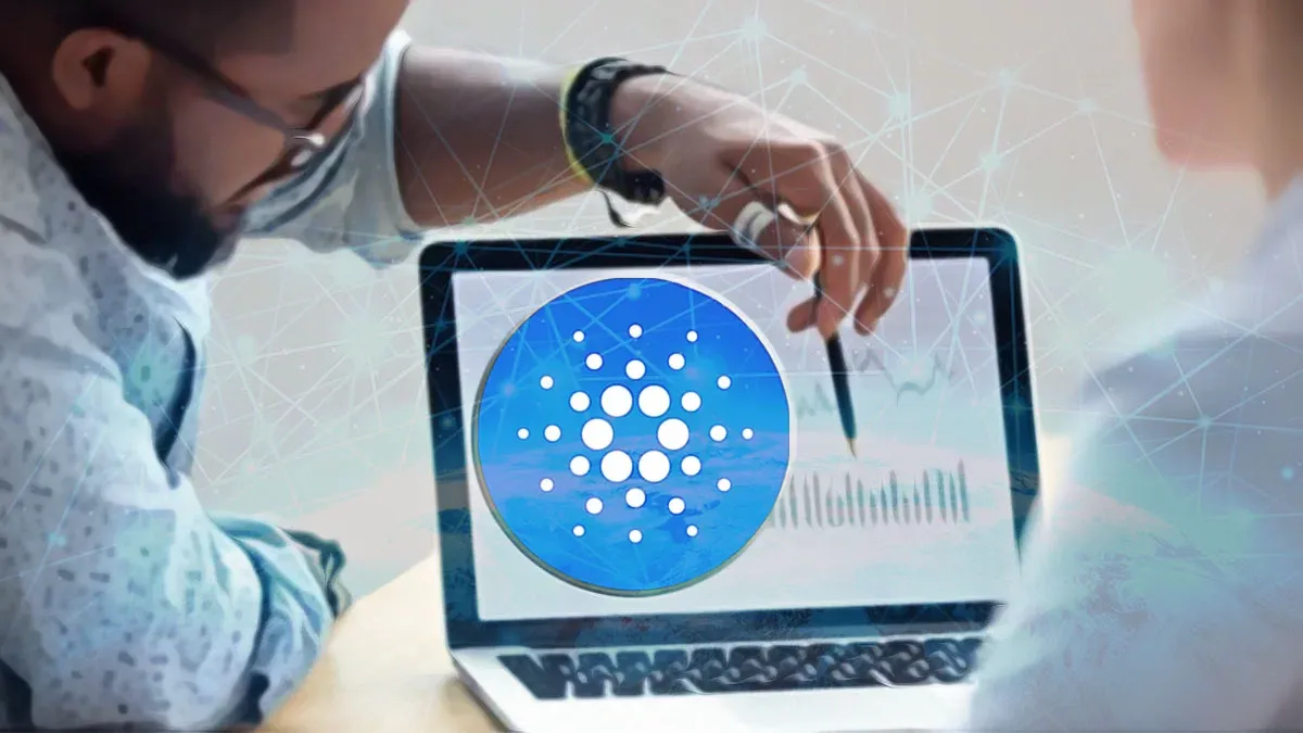 Cardano Shelley’sinin Altıncı Yılı ve Gelecek Hedefleri
