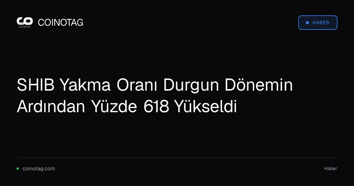 SHIB yakma oranı durgunluktan sonra yüzde 618 artış gösterdi