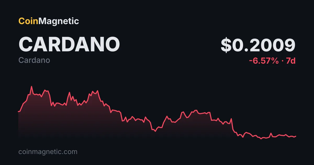 Cardano long pozisyonları 1,16 milyon dolar kayıp yaşadı, dengesizlik yüzde 10.166