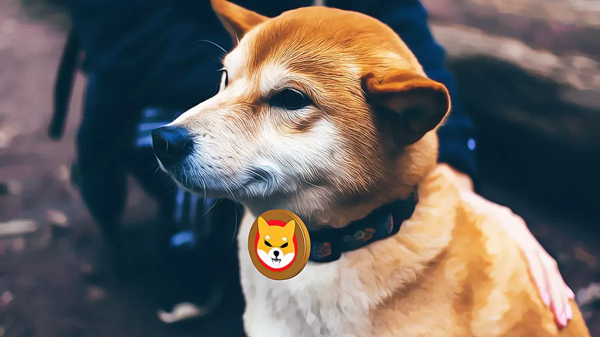 Shiba Inu Yatırımcıları Satış Yerine Birikime Odaklanıyor