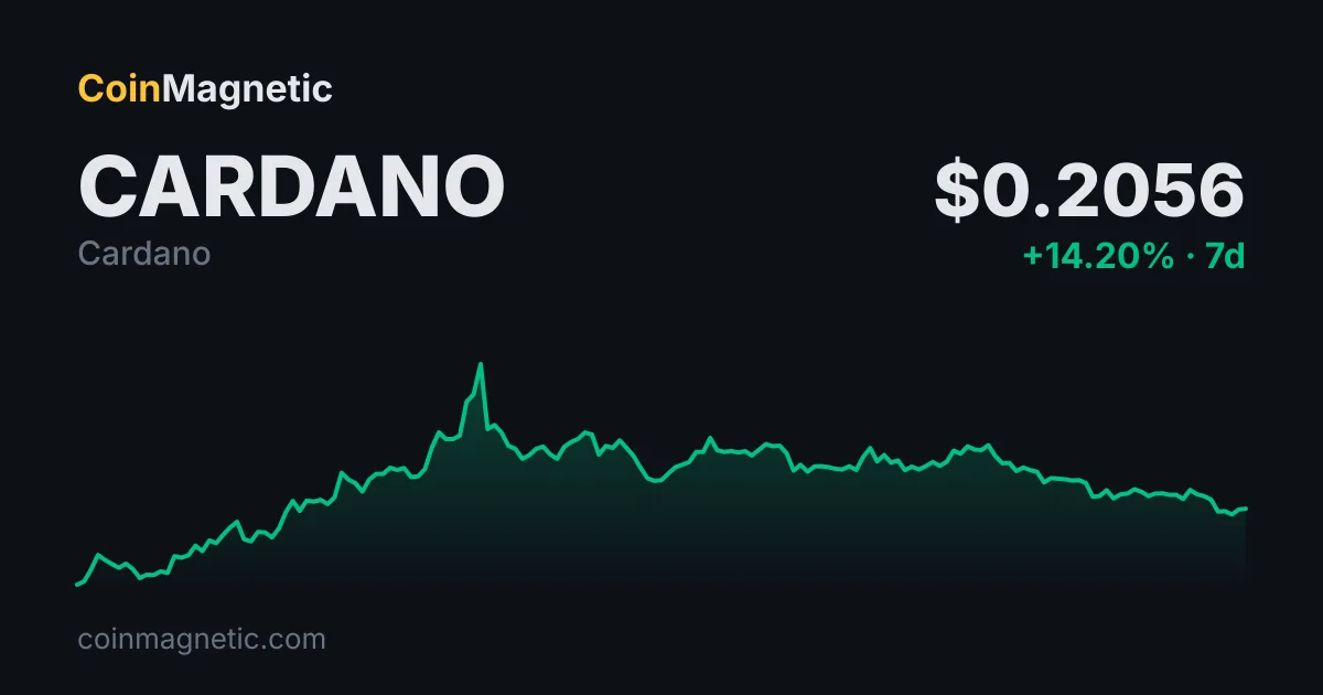 Cardano kurucusu Hoskinson, %26'lık artış sonrası Ethereum ile iş birliği önerdi