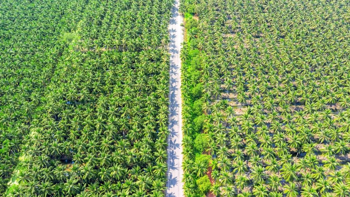 Habis Dicaplok Raksasa Korea, 3 Direktur SGRO Kompak Resign