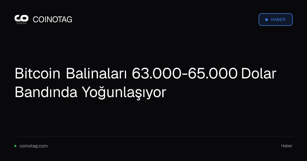 Büyük Bitcoin cüzdanları 63.000-65.000 dolar aralığında yoğunlaşıyor