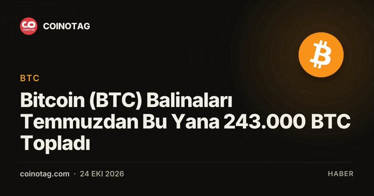 Temmuz ayından bu yana balinalar 243.000 BTC biriktirdi
