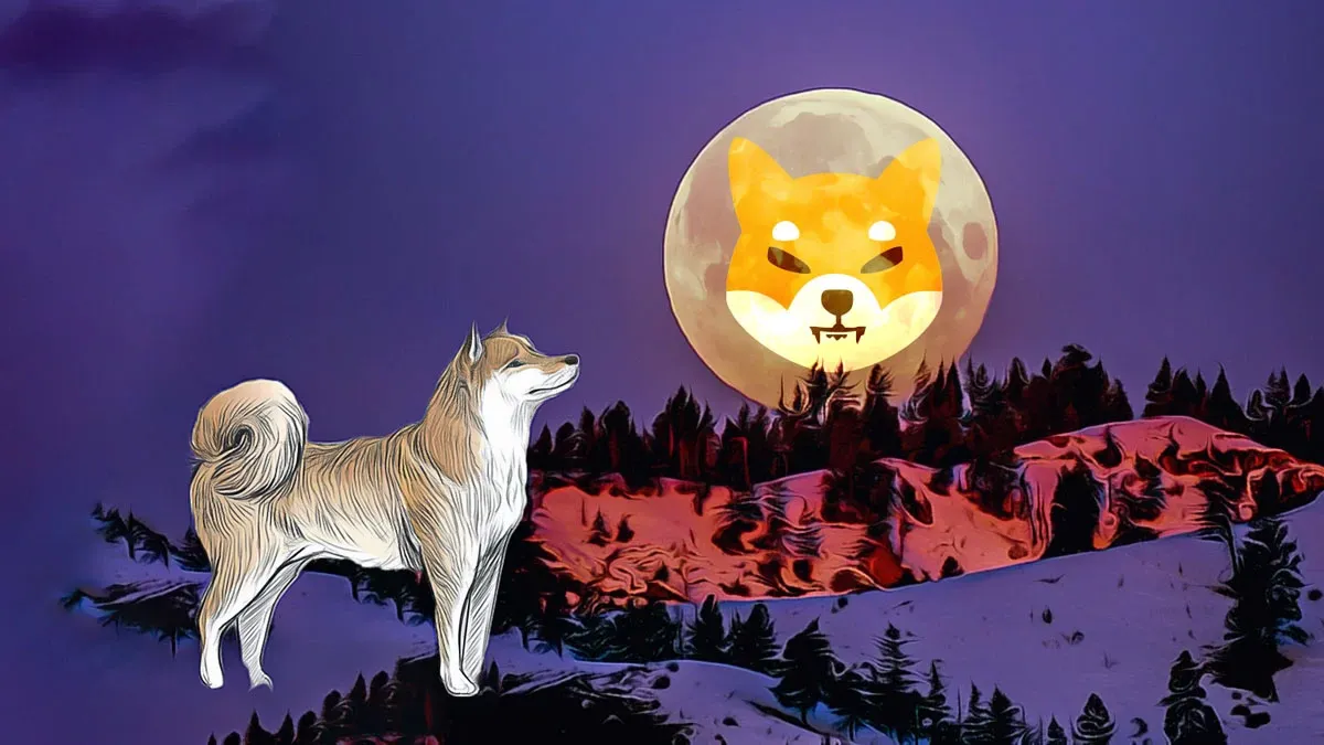Shiba Inu'da artan transferler satış baskısını artırabilir