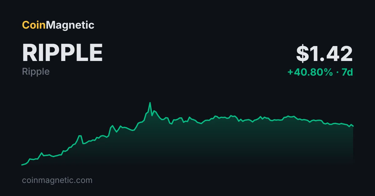 XRP yüzde 5 değer kaybetti, Binance kaldıraç oranı zirve yaptı