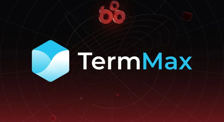 TermMax là gì? Tìm hiểu giao thức cho vay với lãi suất cố định ngay từ đầu